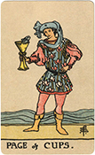 Page of Cups Page of Cups