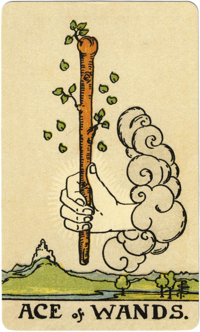 Ace of Wands