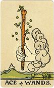 Ace of Wands Ace of Wands