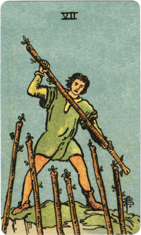 7 of Wands